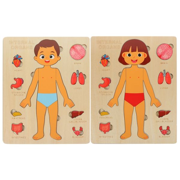 Kids Boy and Girl Anatomy Puzzle Combo