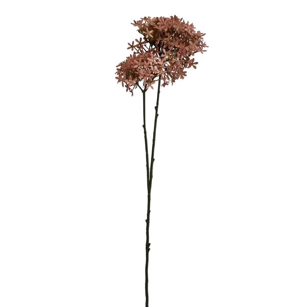 Toolhome Blossoms - Crown Cream - 81cm