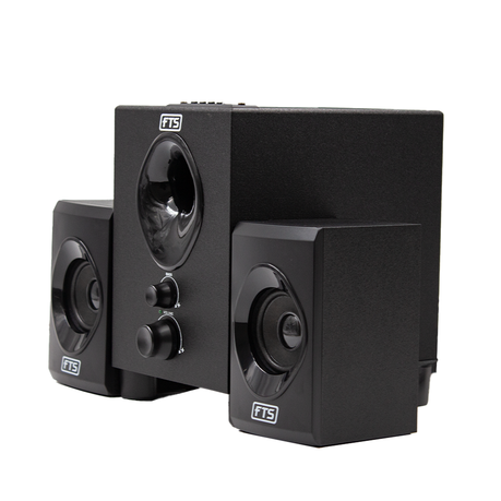 FTS Rhythm Amplified 2.1 Multimedia Speaker System [FTS-387U] Image