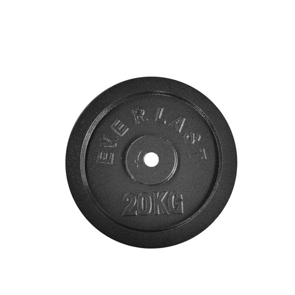 Everlast Cast Iron Weight Plate image