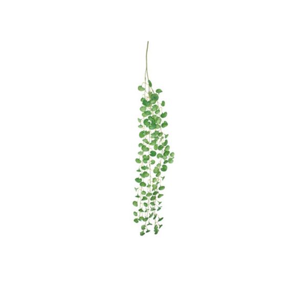 Mc -Coin Leaf Green Hanging Plant
