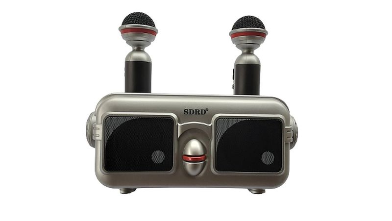 Speaker Microphone Set