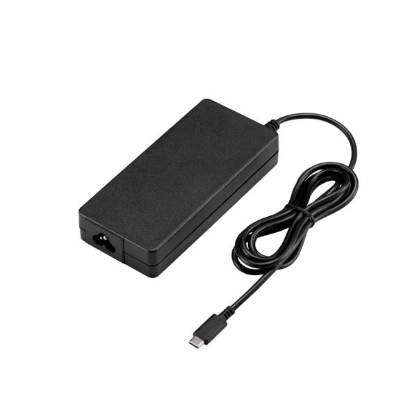 FSP NB C PRO 100W Type C Adapter + SA Power Cord