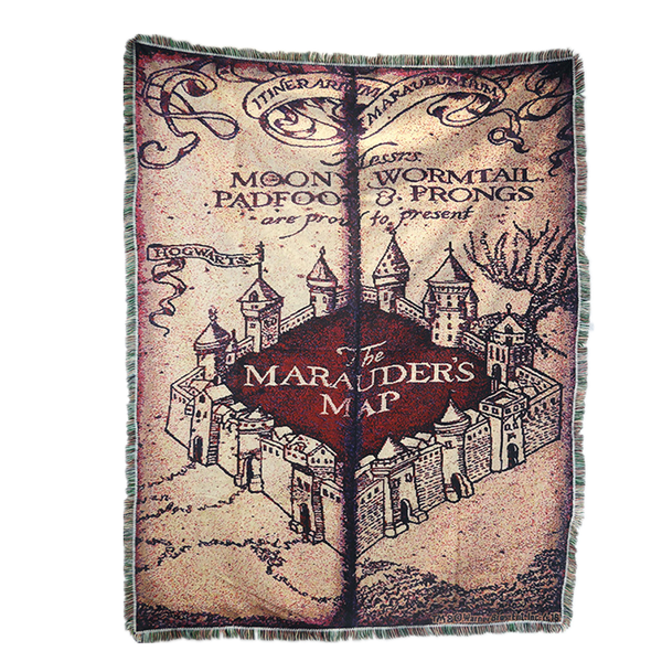 Harry Potter Academy Tapestry H016-20