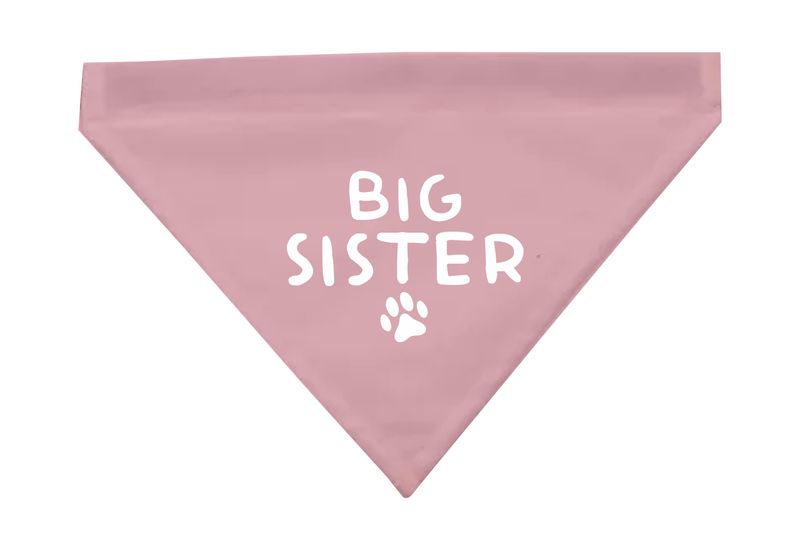 My Paws - Dog Bandana with Removeable Collar - Big Sister