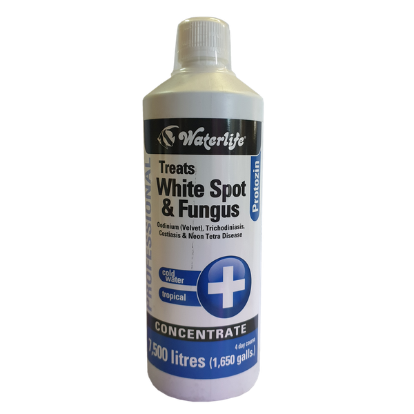 Waterlife Protozin Treats White Spot and Fungus 1L
