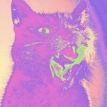 Good Time (Vinyl / 12" Album)