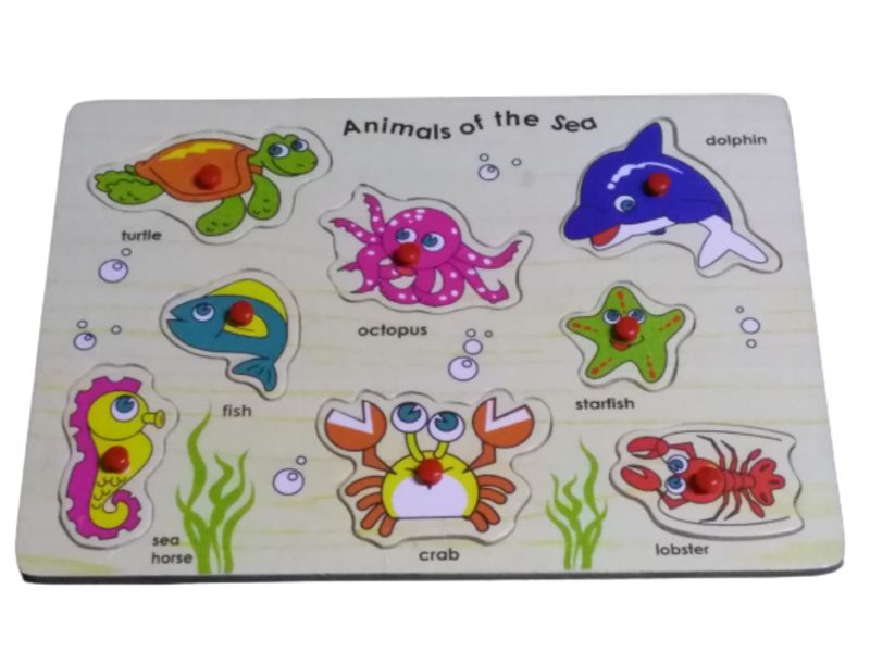 Animals Of The Sea