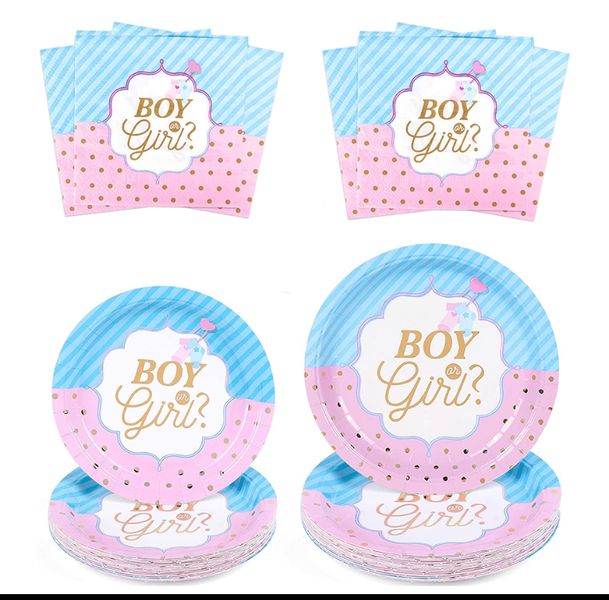 Gender Reveal Party Plates And Serviettes
