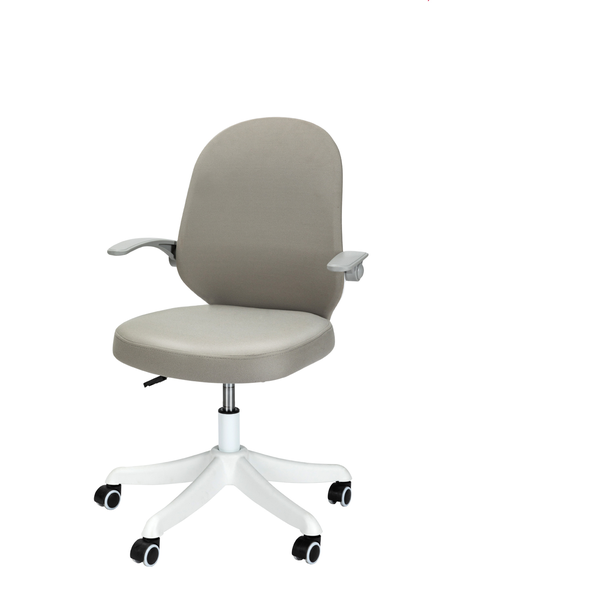 DELI Office Chair Ergonomic, Mesh Back, Adjustable Height, Flip-Up Arms