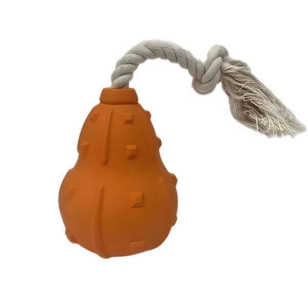 GNH 4 In 1 Interactive Pet Slow Feeding Toy With Rope