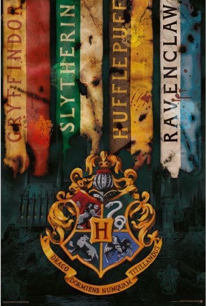 Harry Potter - House Flags 2 Poster