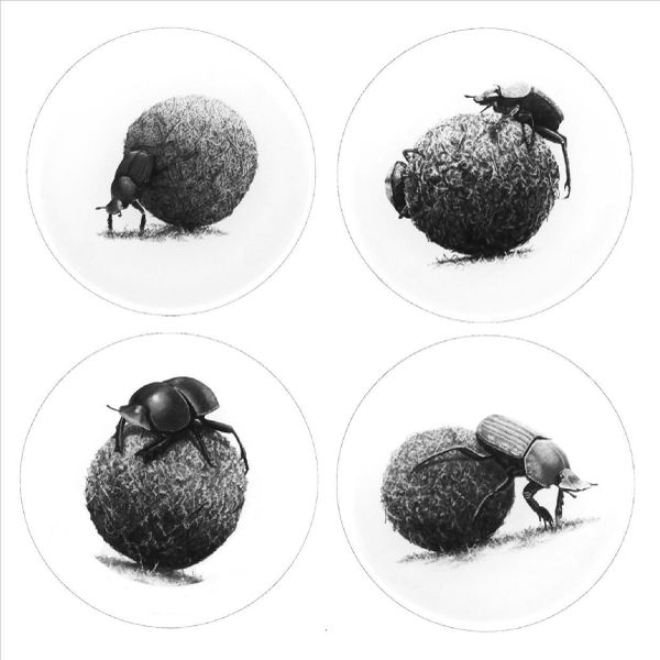 African Insect Wildlife Dung Beetles Decor Artwork: 4pc Glass Coasters