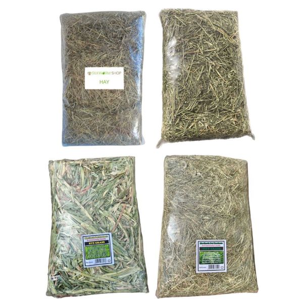 Bunny Essentials - Combo Pack