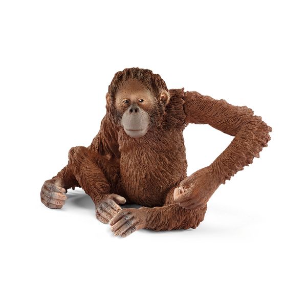 Schleich - Wild Life - Orangutan - Female - 6cm Tall
