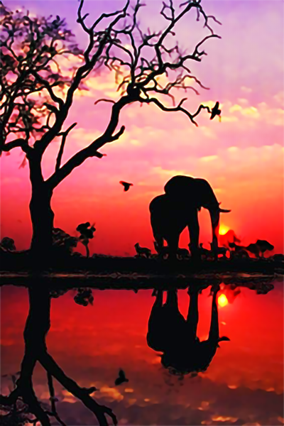 Red Canvas cm Animals Wall Art