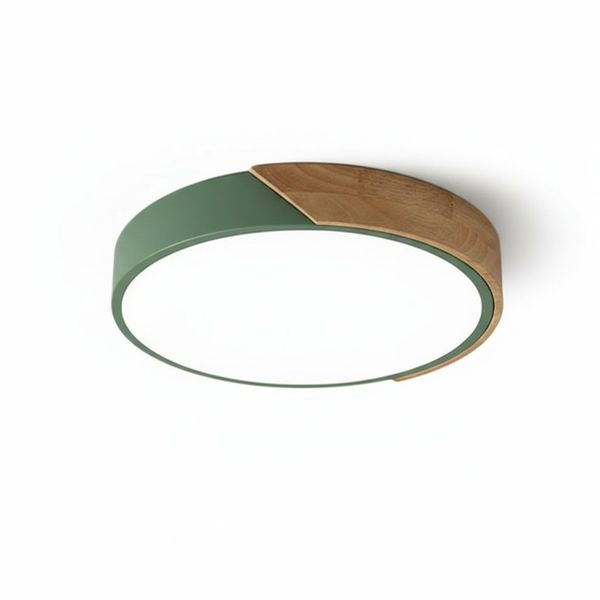 Nordic Modern Minimalist LED Ceiling Light 30cm Tricolor Flush Mount