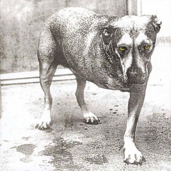 Alice In Chains - Alice In Chains 2LP Yellow Vinyl 30th Anniversary