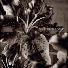 Between Happiness and Heartache (Vinyl / 12" Album)