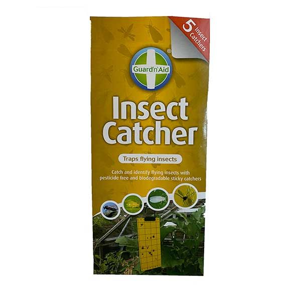 Sticky Insect Traps - Insect Catcher - (Pack of 5 Traps)