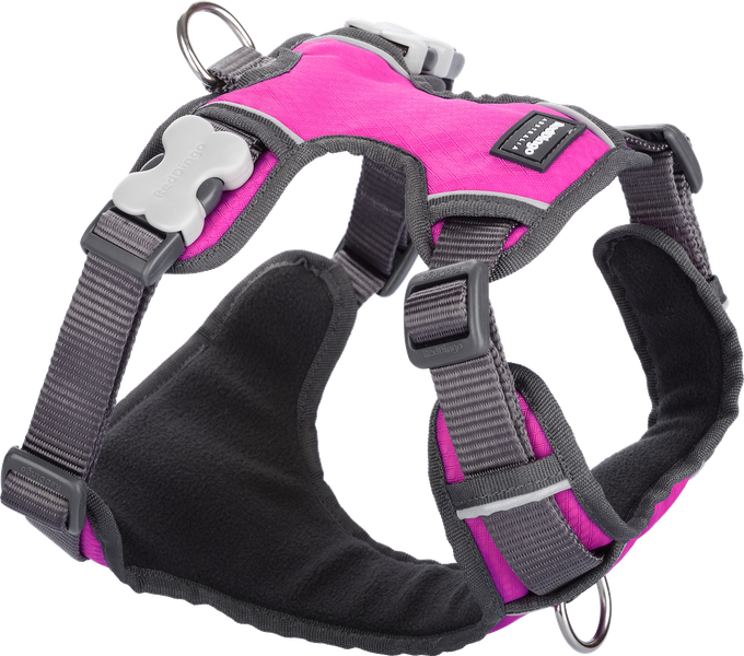 Red Dingo Padded Harness - Extra Large - Red XL