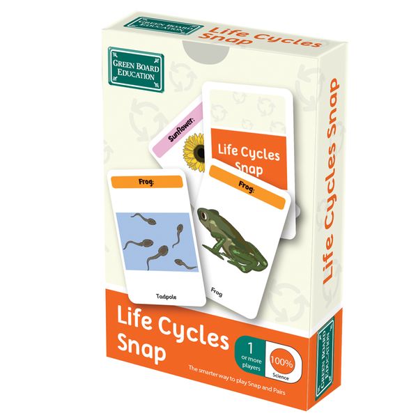 BrainBox Life Cycles Snap