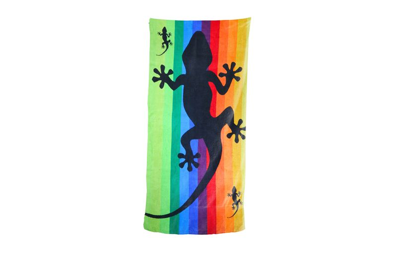 Rainbow Lizard image
