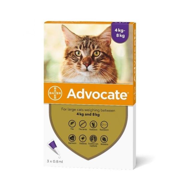 Advocate Large Cat 3 x 0.8ml - (4kg+) - Purple