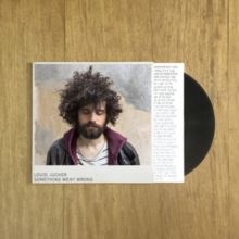 Something Went Wrong (Vinyl / 12" Album)