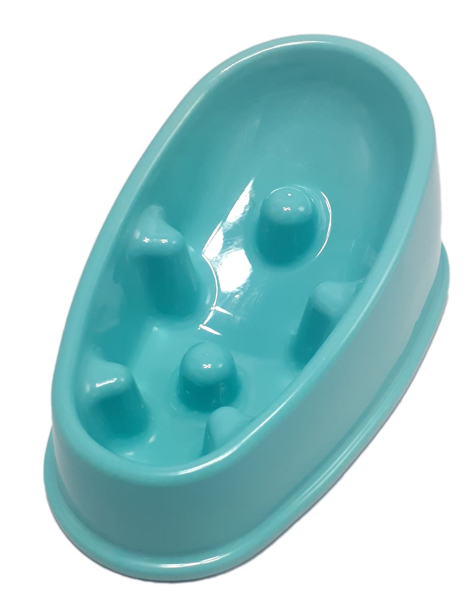 Dog Slow Feeding Bowl Designed for Slow Digestion Blue Buy Online