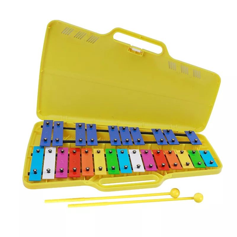 Xylophone 25 Notes Gift set for Kids with Hard Travel Case