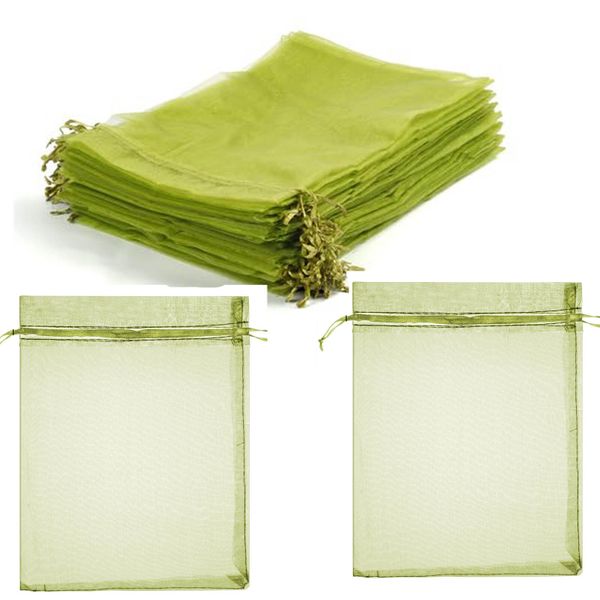 50 Pairs Protection Bags, 6×9 Inches Green Nets for Fruit Tree