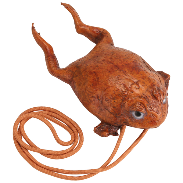 Funny Toad Wallet Individuality Animal Coin Pouch Realistic Frog