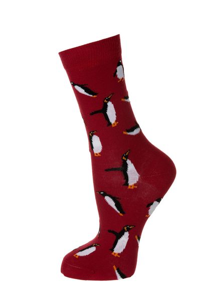 John Frank Women's Fashion Socks