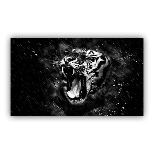 Mounted Prints - Tiger