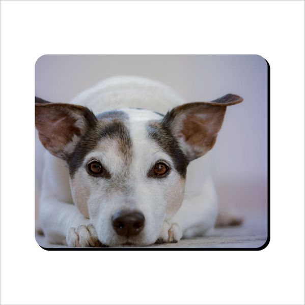 Mouse Pad - Lazy Jack Russel