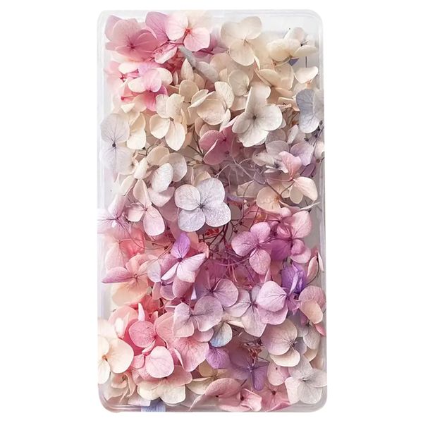 Natural Dry Hydrangea Flowers For Resin And Craf image