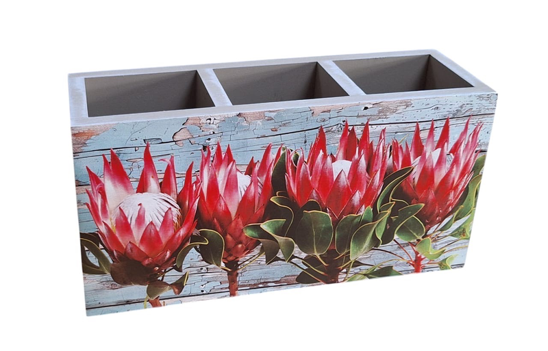 Cutlery/Stationary Holder - 4 Beautiful Red &amp; White Proteas