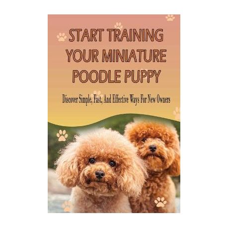 how to train miniature poodle puppies