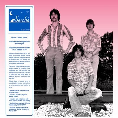 Demo Press (Vinyl / 12" Album)