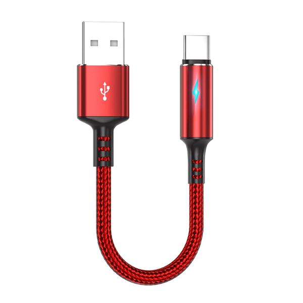 Glow Short USB-C Cable Compatible with Type-C Phones/Power Banks