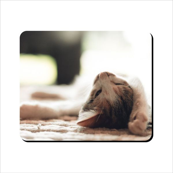 Mouse Pad - Lazy Cat On Carpet