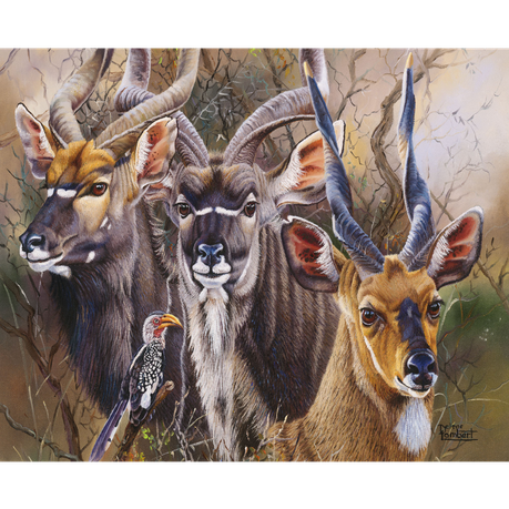 RGS Group Bushveld Splendour 1500 Piece Jigsaw puzzle | Shop Today