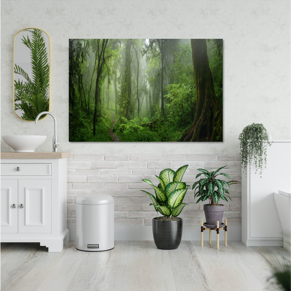 Zebra Canvas - 150 x 100cm (Landscape)