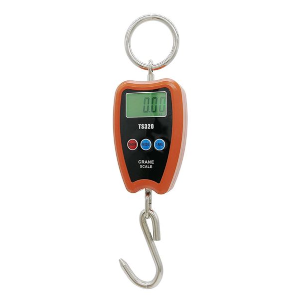 200kg Digital Load Scale