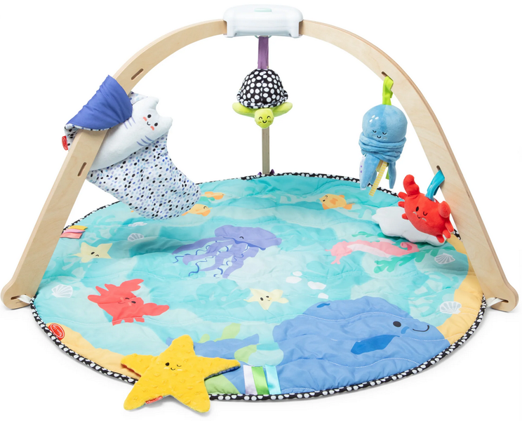 Melissa &amp; Doug Ocean Easy-Fold Play Gym