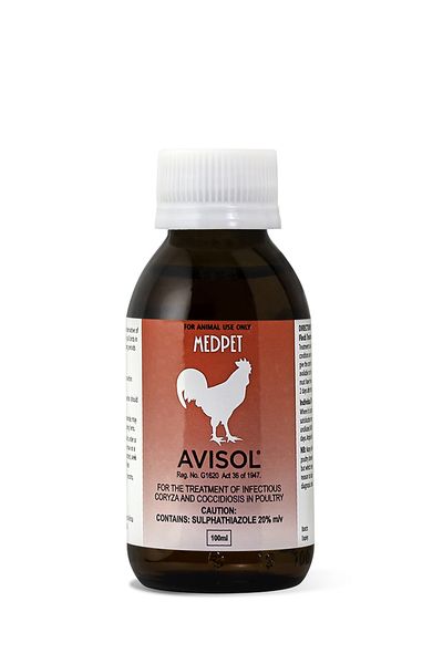 Medpet Avisol Solution 100ml