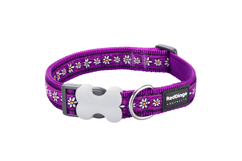 Red Dingo Dog Collar - Design - XS - Daisy Chain Purple