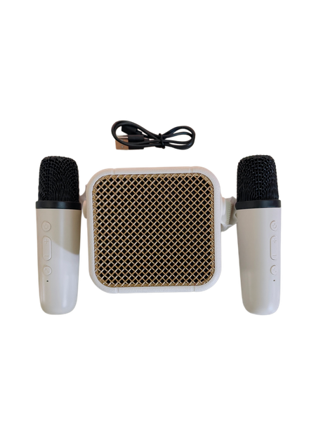 Rechargeable Bluetooth Karaoke Speaker with Dual Wireless Microphones