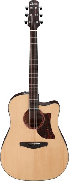 Ibanez AAD170CE-LGS Acoustic Guitar